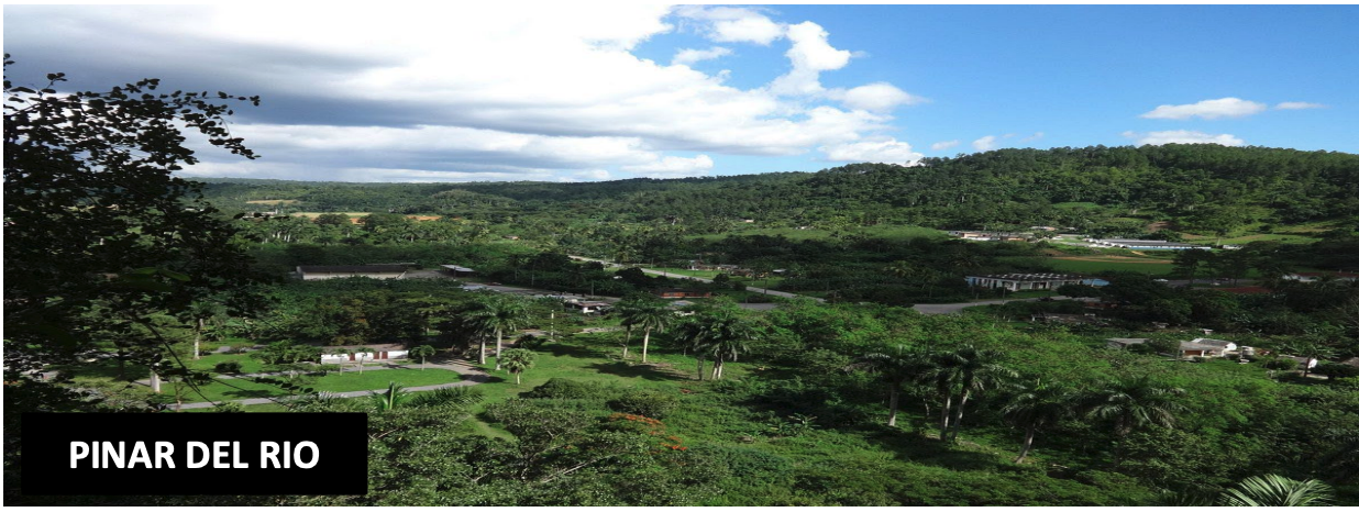 Banner Pinar del Rio Banner Pinar del Rio