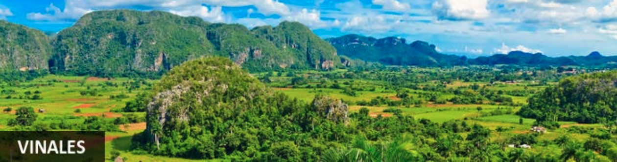 Banner Vinales Banner Vinales